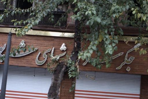 عکس جگرسرای شبهای شاپور 