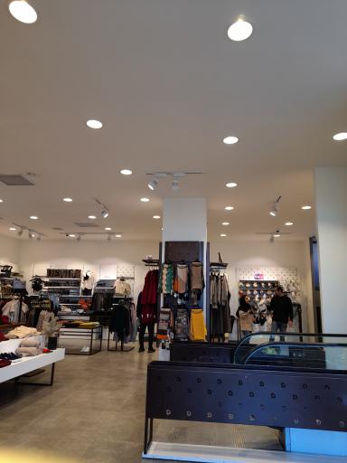 عکس فروشگاه بادی اسپینر خزرشهر