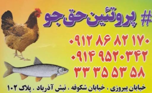 پروتئین حق جو