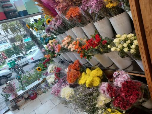 عکس گل فروشی ویولت