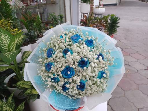 عکس گل فروشی ویولت