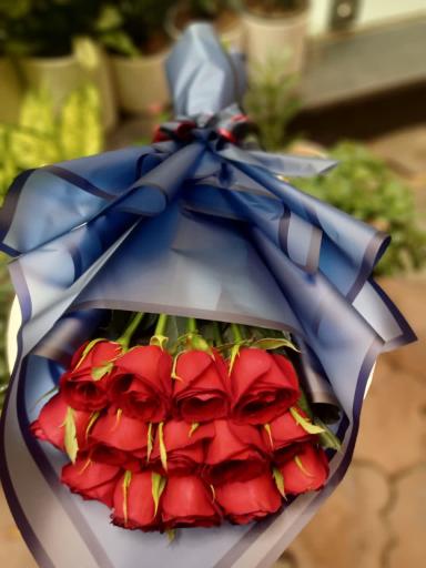 عکس گل فروشی ویولت