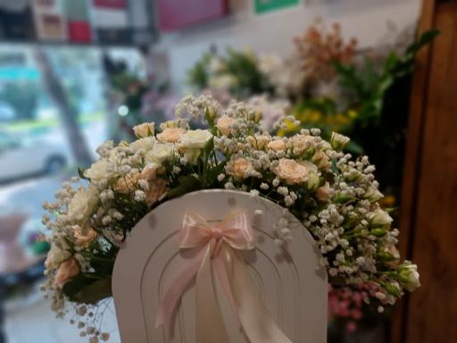 عکس گل فروشی ویولت