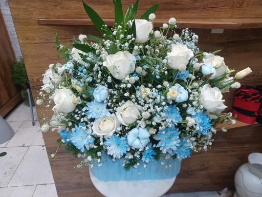 عکس گل فروشی ویولت