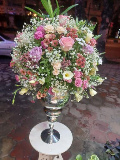 عکس گل فروشی ویولت