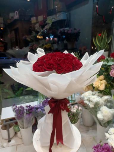 عکس گل فروشی ویولت