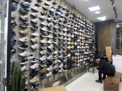 تولید و پخش کتونی پائیزان