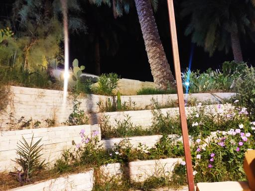 عکس کافه باغ جردن جم