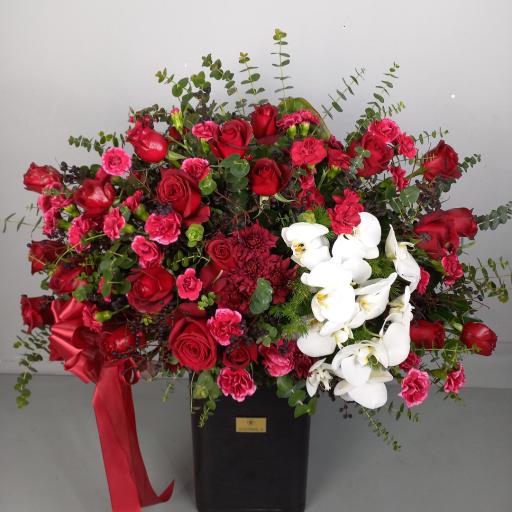 عکس گل فروشی شرمیلا