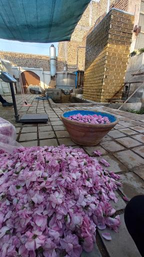 عکس کارگاه گلابگیری و عرقیات سنتی برادران رجب‌پور