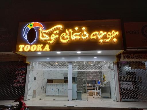 عکس جوجه ذغالی توکا