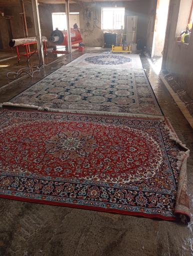 عکس قالیشویی گل ایران