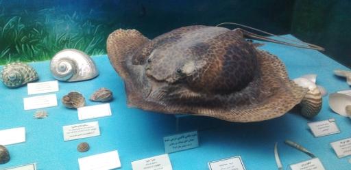 موزه گنجینه قرآن و نفایس