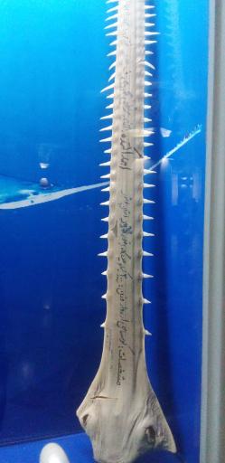 موزه گنجینه قرآن و نفایس