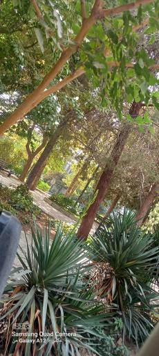 عکس پارک پیشکسوتان