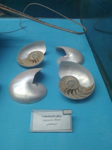 عکس موزه گنجینه قرآن و نفایس