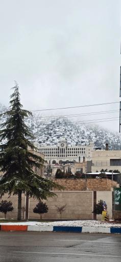 عکس هتل رز