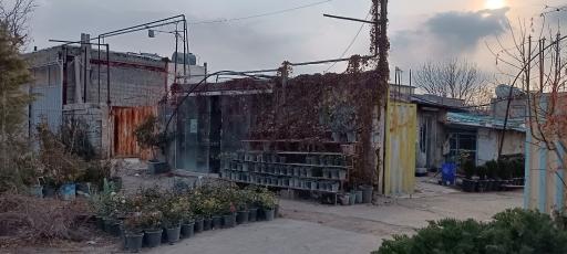 عکس گلخانه کاشانی