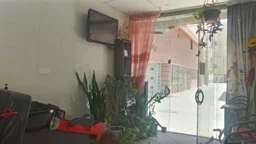 عکس پیرایش هنرمند