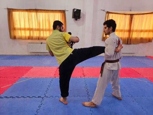 عکس مجموعه فرهنگی ورزشی عقاب طلایی