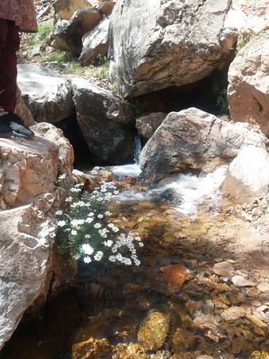 عکس آبشار خارود