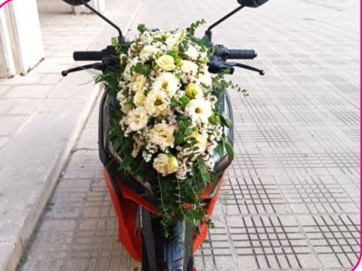 عکس گل فروشی مرلی