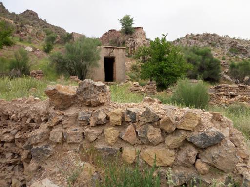 عکس خشم علیا