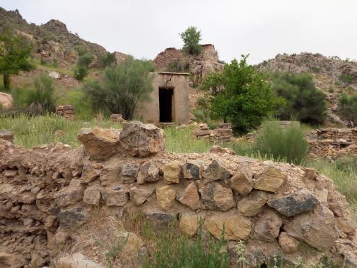 عکس خشم علیا