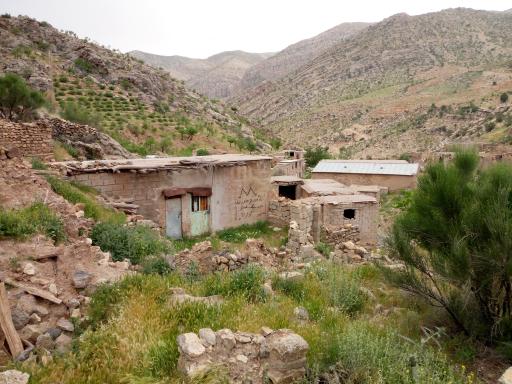 عکس خشم علیا