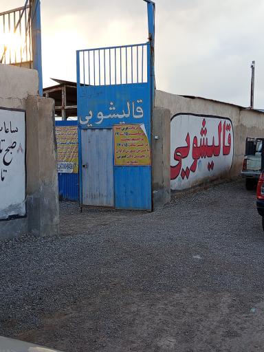 عکس قالیشویی شقایق