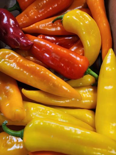 عکس بازار میوه و تره بار شهرداری هنرستان