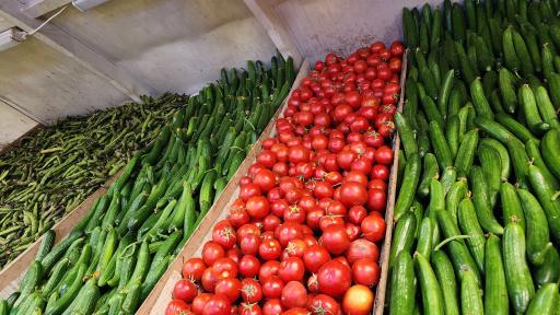 عکس بازار میوه و تره بار شهرداری هنرستان