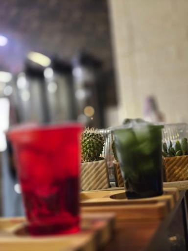 عکس کافه آرن 