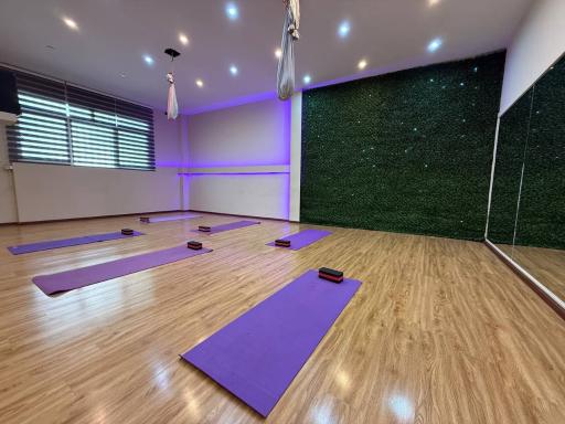عکس سالن یوگا (بایا ۲)