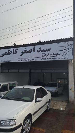 عکس نمایشگاه اتومبیل سید اصغر کاظمی