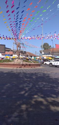 عکس بازار ماهی فروشان