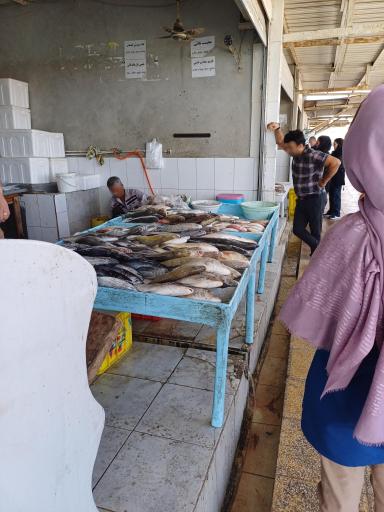 عکس بندر صیادی دوحه (ماهی فروشی)