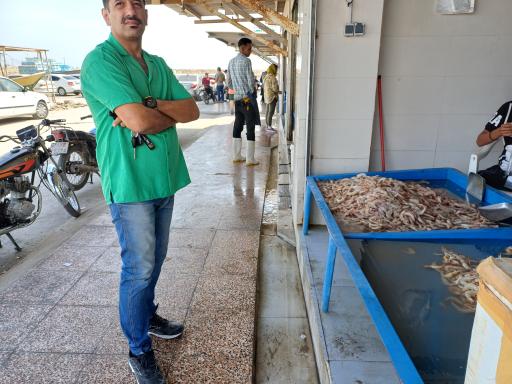 عکس بندر صیادی دوحه (ماهی فروشی)