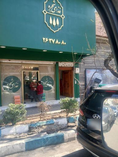 عکس غذای شجره