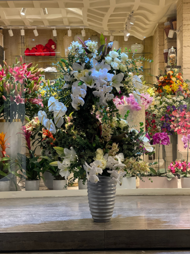 عکس گل فروشی سیکاس