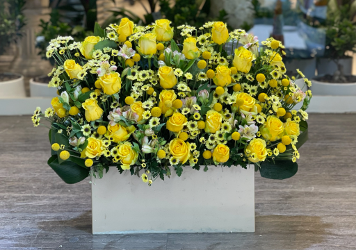 عکس گل فروشی سیکاس