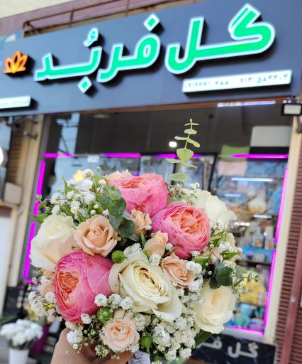 عکس گل فربد