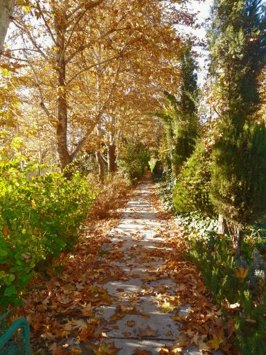 عکس سازمان فرهنگ و ارتباطات اسلامی 