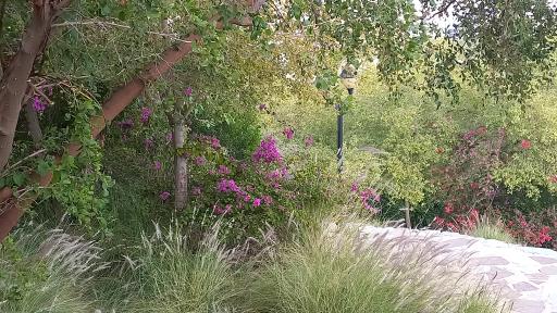 عکس پارک چگاسه