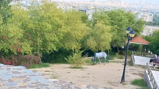 عکس پارک چگاسه