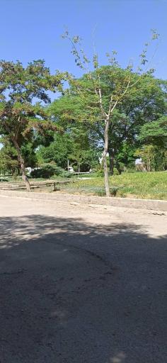 پارک مرتضوی