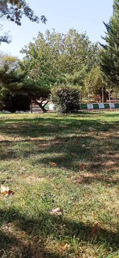 عکس پارک مرتضوی