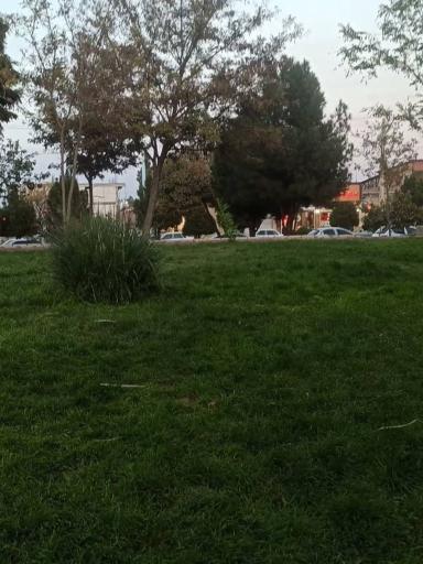 عکس پارک مرتضوی