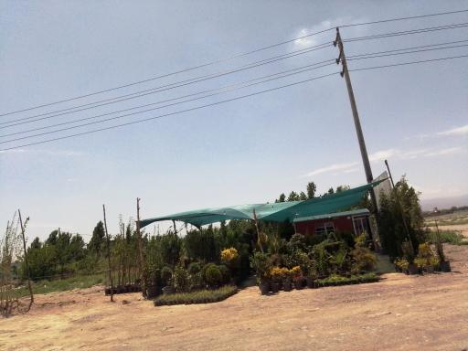 عکس نهالستان تک