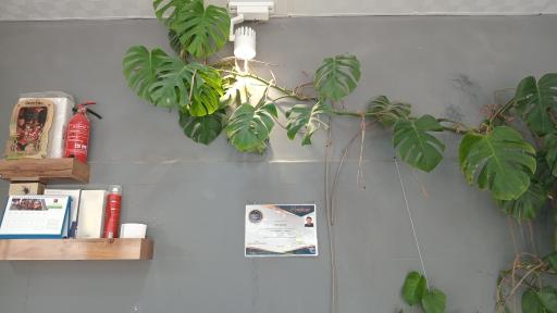 عکس پیرایش هادی ظهرابی